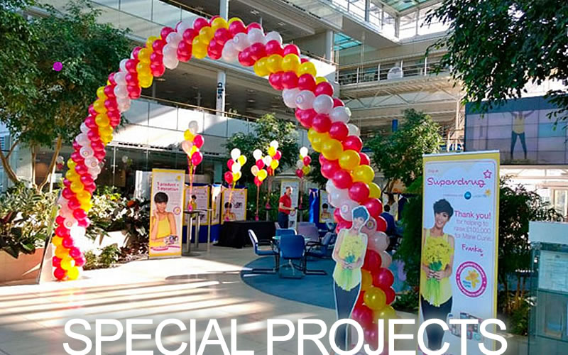 Special Projects