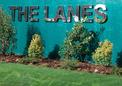 3D Lettering