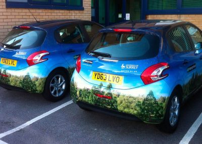 Vehicle Wraps