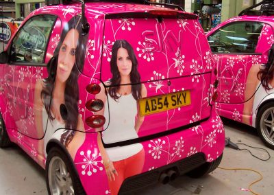 Vehicle Wraps