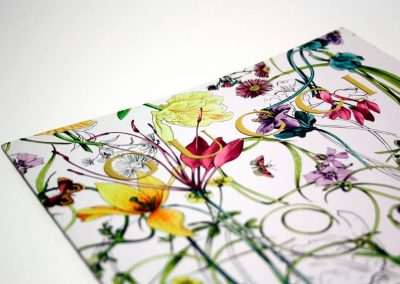 Brochure Design